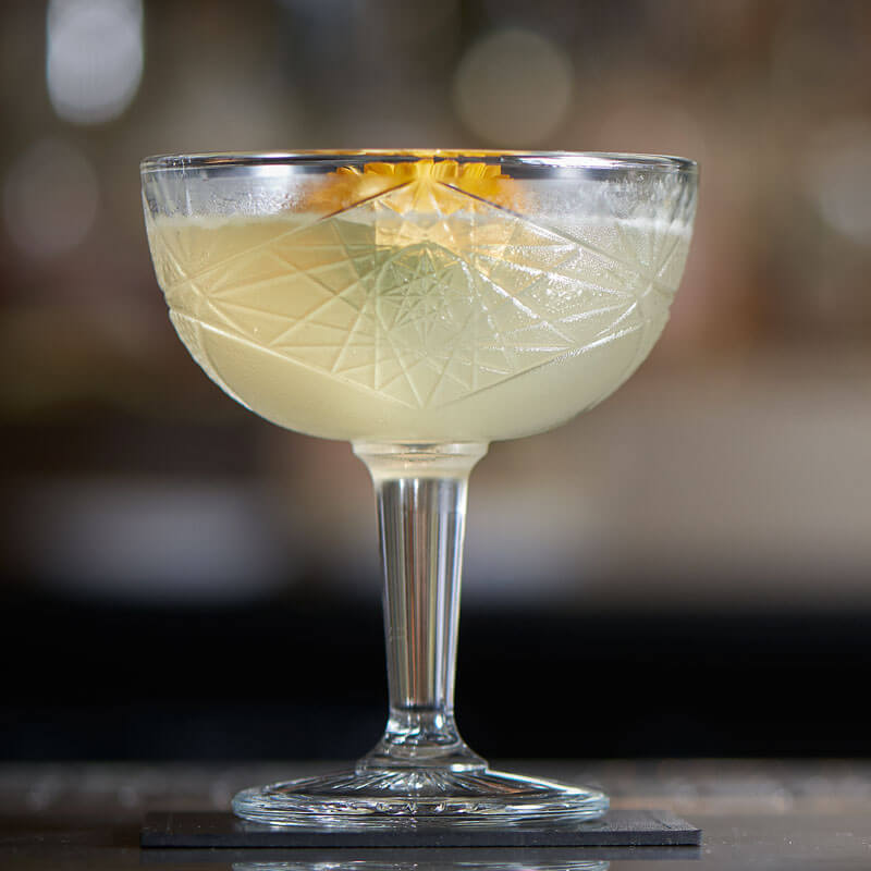 Coupe Cocktail ICON, Onis - 250ml (1 pce)
