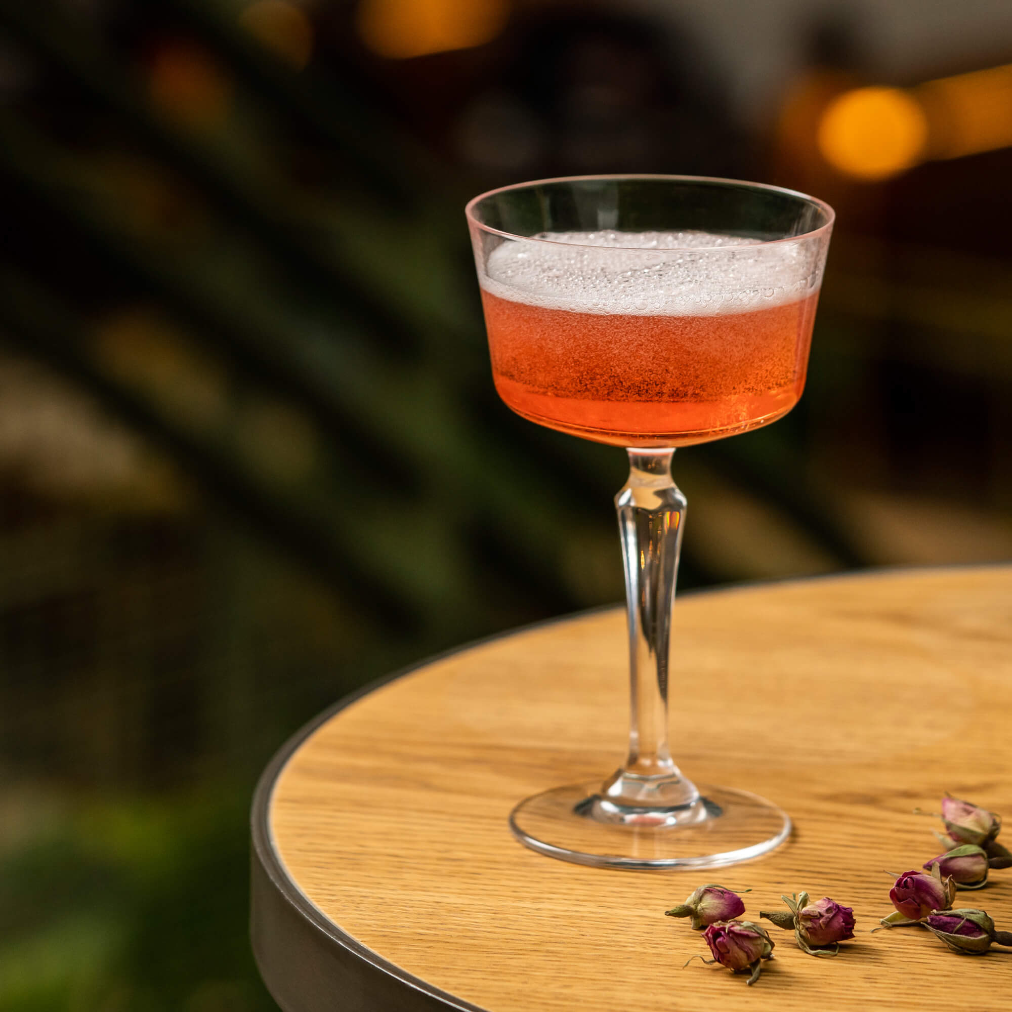 Fizz Coupe à cocktail Spksy, Onis - 250ml (1 pce)