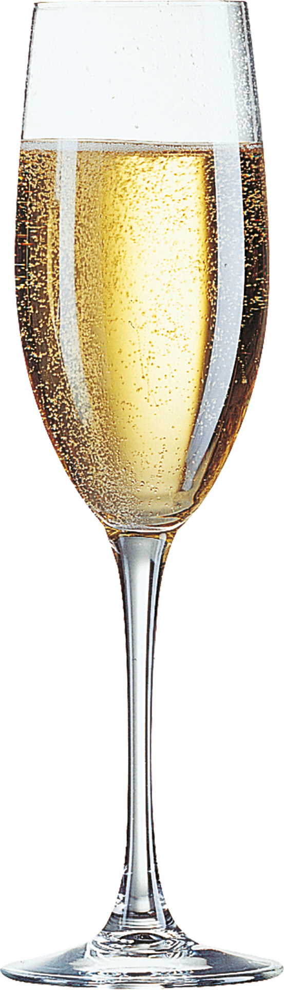Grande flûte à champagne Cabernet, C&S - 240ml (6 pcs)