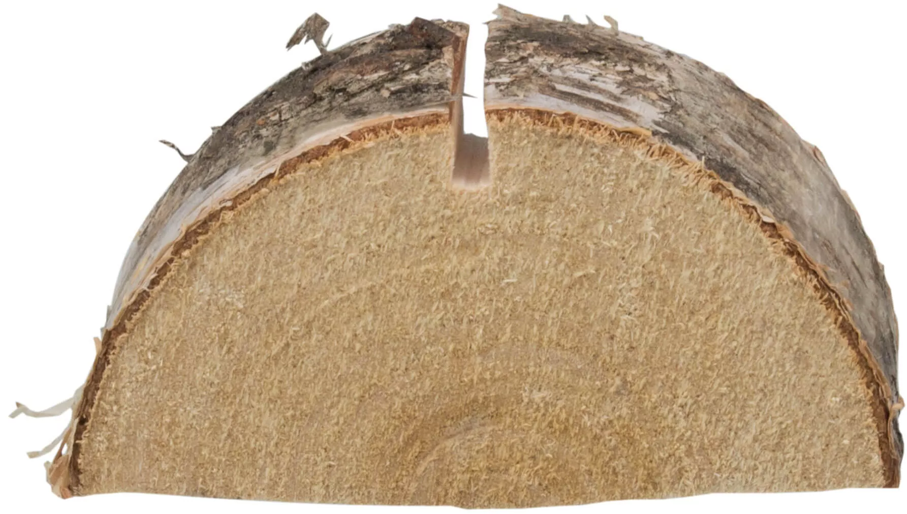 Porte-cartes Bouleau, disque d'arbre Bouleau - env. 6,5cm Porte-cartes Bouleau, disque d'arbre Bouleau - env. 6,5cm
